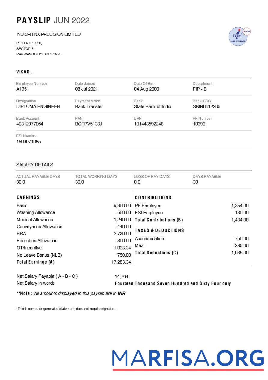 Blank Ind Sphinx Precision (Tool manufacturer) payslip template
